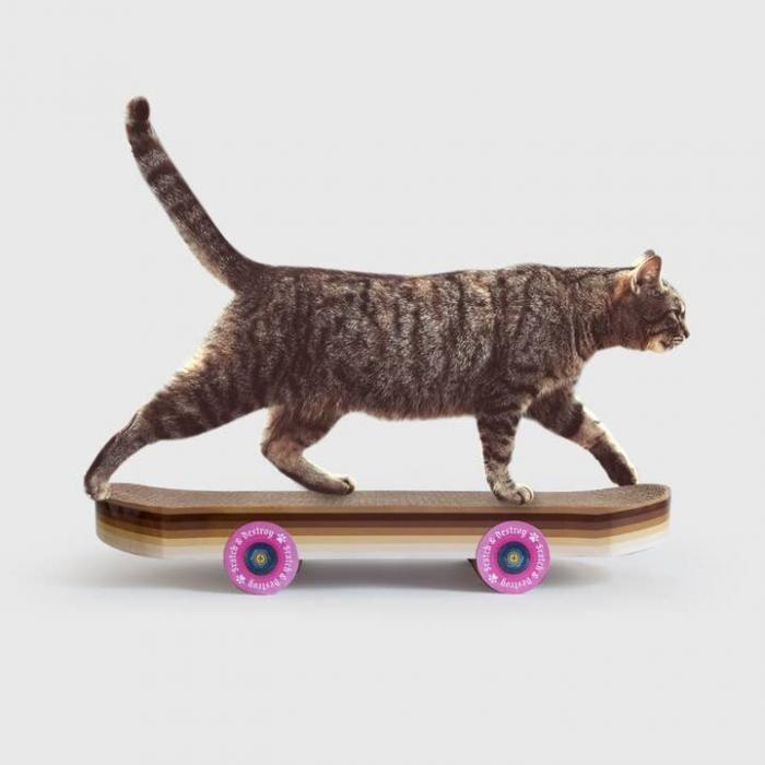 Skateboard Cat Scratcher - Image 2