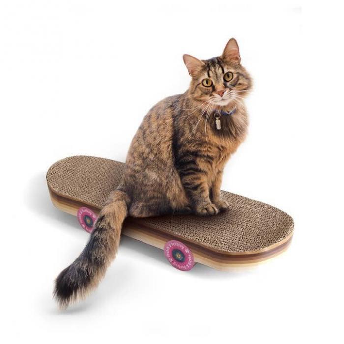 Skateboard Cat Scratcher, BagMyGift