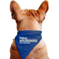 The Real Housedogs of Custom City Pet Bandana, BagMyGift