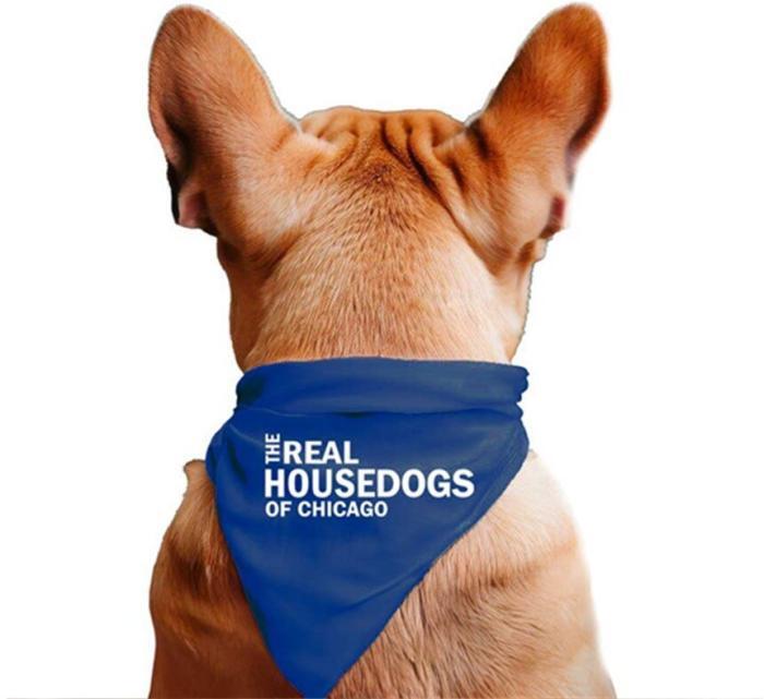 The Real Housedogs of Custom City Pet Bandana, BagMyGift