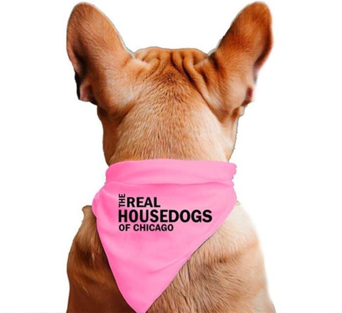 The Real Housedogs of Custom City Pet Bandana, BagMyGift