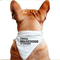 The Real Housedogs of Custom City Pet Bandana, BagMyGift
