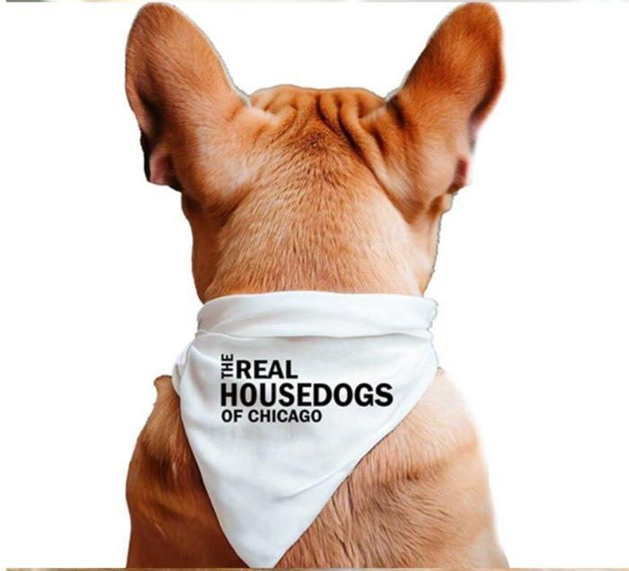 The Real Housedogs of Custom City Pet Bandana, BagMyGift