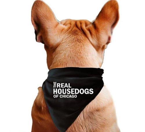 The Real Housedogs of Custom City Pet Bandana, BagMyGift