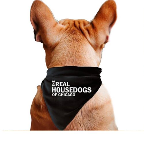 The Real Housedogs of Custom City Pet Bandana, BagMyGift