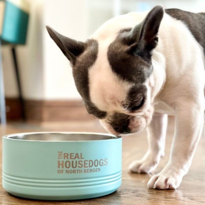 The Real Housedogs of Custom City Pet Bowl, BagMyGift