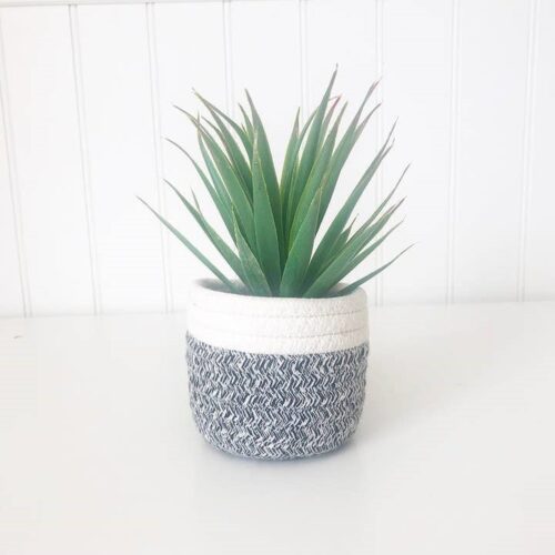 Fabric Pot Succulent – Tiered Tray Decor, BagMyGift