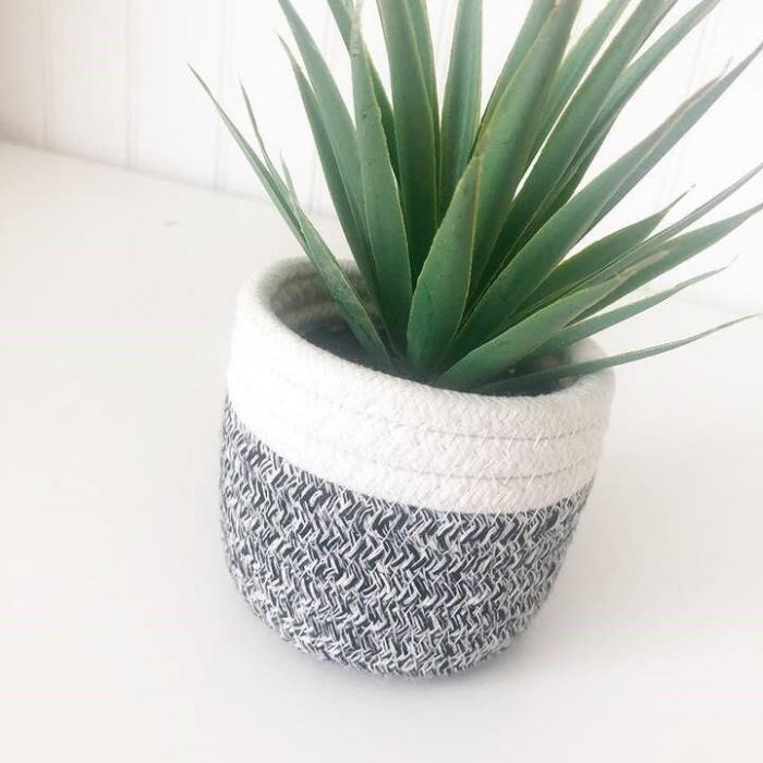 Fabric Pot Succulent – Tiered Tray Decor, BagMyGift