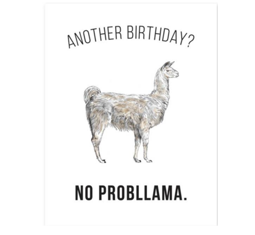 Llama Greeting Card, Another Birthday? BagMYGift