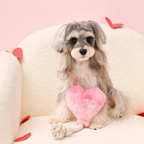 Love is in the Air Dog Plush Toy, BagMYGift