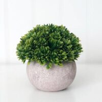 Stone Pot & Foliage – Tiered Tray Decor, BagMyGift