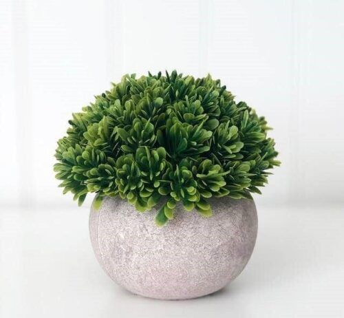 Stone Pot & Foliage – Tiered Tray Decor, BagMyGift