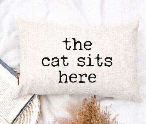 The Cat Sits Here Pillow, BagMyGift