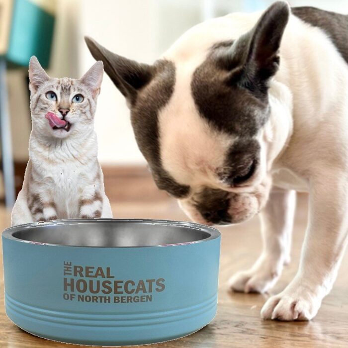 The Real Housecats of Custom City Cat Bowls, BagMyGift
