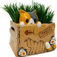 Cat in the Box Planter - Image 3