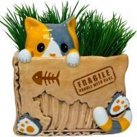Cat in the Box Planter, BagMYGift