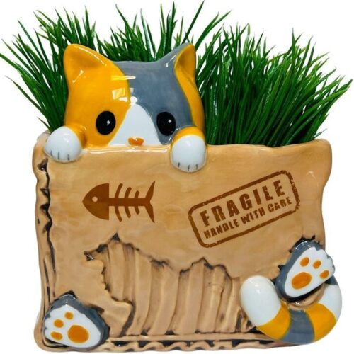 Cat in the Box Planter, BagMYGift