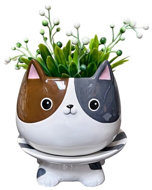 Cat's Meow Footsie Planter, BagMYGift