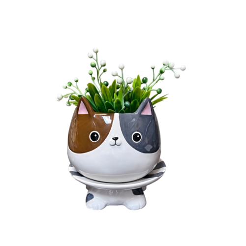 Cat's Meow Footsie Planter, BagMYGift