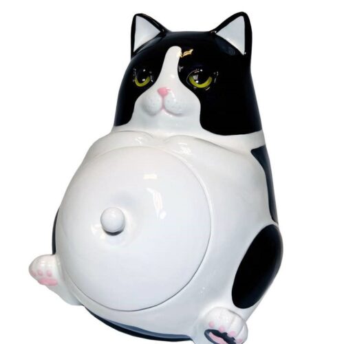 Fat Cat Cookie Jar, BagMYGift