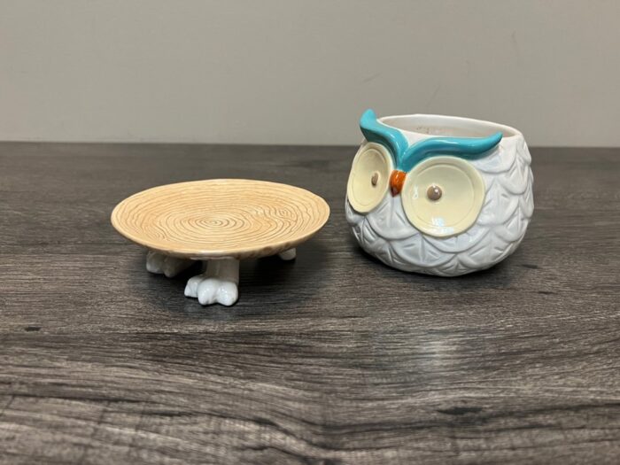 Hoots the Owl Footsie Planter - Image 3