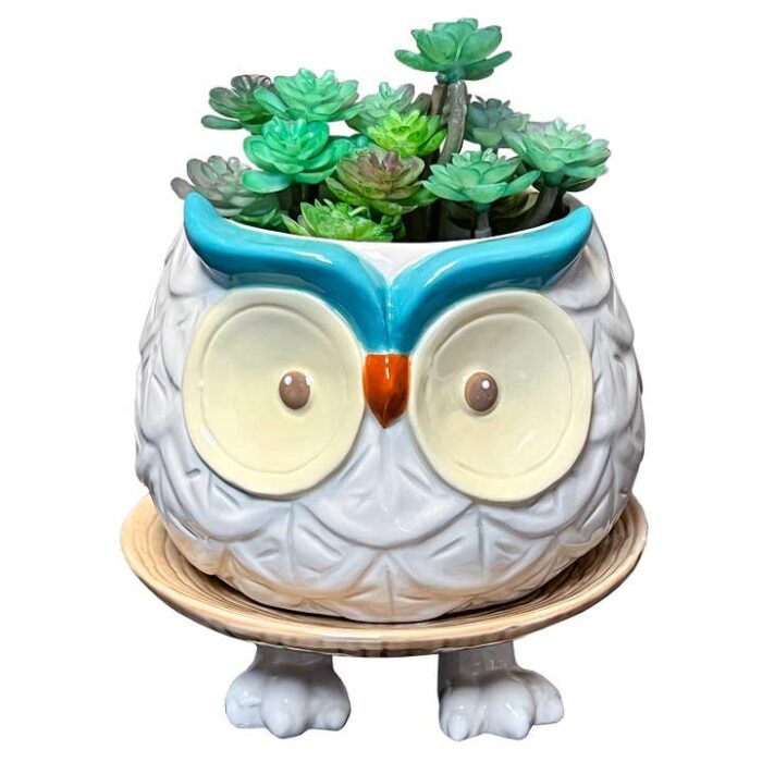 Hoots the Owl Footsie Planter, BagMYGift