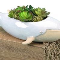 Sprouter Whale Planter - Image 2