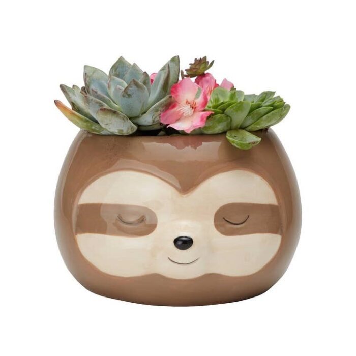 Zen Sloth Planter, BagMYGift