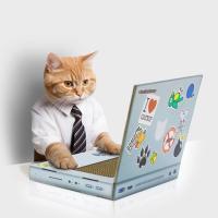 Cat Laptop Scratch Pad, BagMYGift