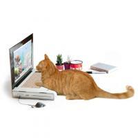 Cat Laptop Scratch Pad, BagMYGift