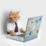 Cat Laptop Scratch Pad, BagMYGift