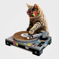 Cat Scratch Dj Decks, BagMYGift