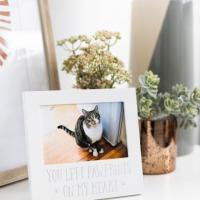 You Left Pawprints On My Heart Sentiment Frame, BagMYGift