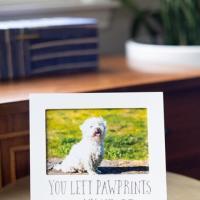 You Left Pawprints On My Heart Sentiment Frame, BagMYGift