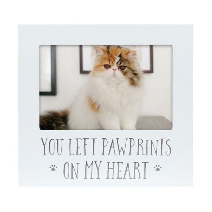 You Left Pawprints On My Heart Sentiment Frame, BagMYGift