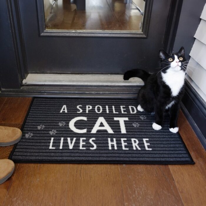 Spoiled Cat - 27.5" X 17.75" Floor Mat - Image 2