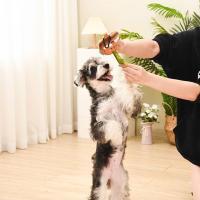 Pooch Pouch - Bubble Tea, BagMYGift
