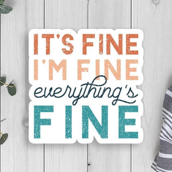 It's Fine I'm Fine Everything's Fine Vinyl Sticker, BagMYGift