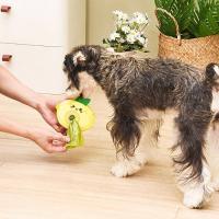 Pooch Pouch Lemon, BagMYGift
