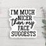 Nicer Than My Face Suggests Vinyl Sticker, BagMYGift