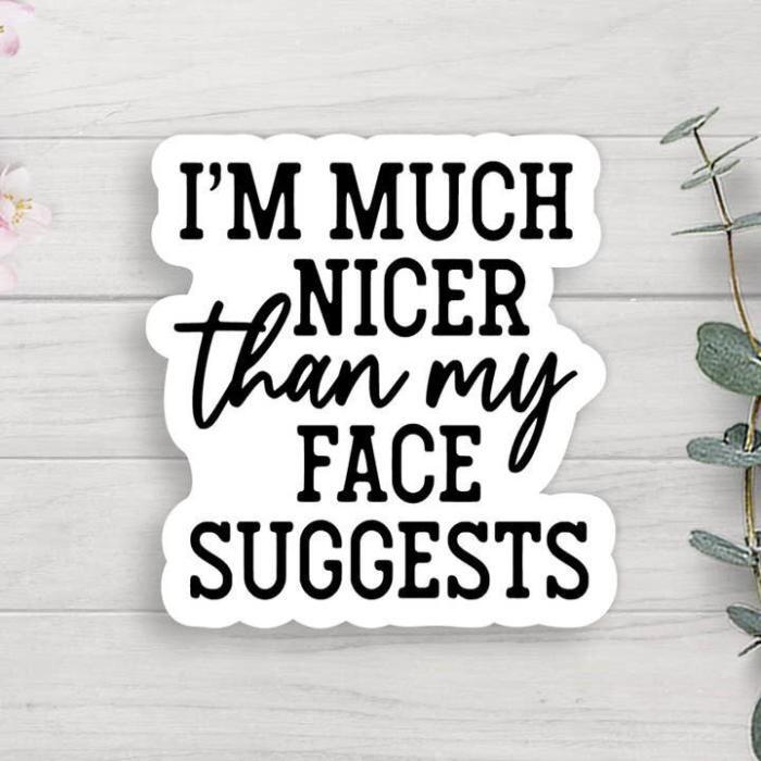 Nicer Than My Face Suggests Vinyl Sticker, BagMYGift
