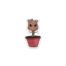 Baby Groot - Sticker, BagMYGift