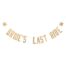 Paper Bachelorette Party Banner - Bride’s Last Ride, BagMYGift