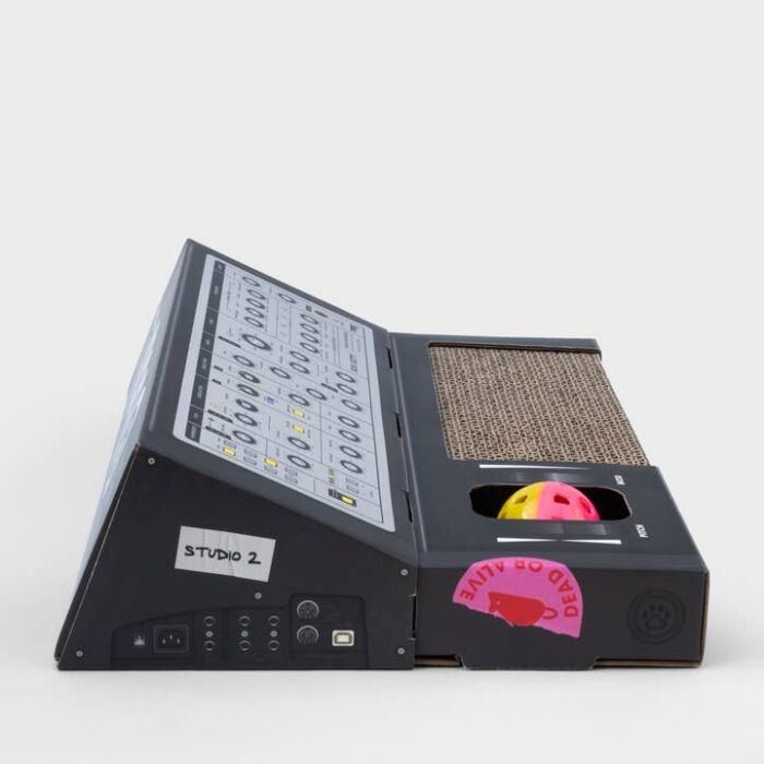 Cat Scratch Synthesizer, BagMYGift