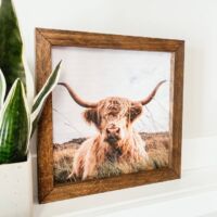 9x9 Highland Cow Framed Wooden Sign, BagMYGift
