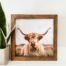 9x9 Highland Cow Framed Wooden Sign, BagMYGift