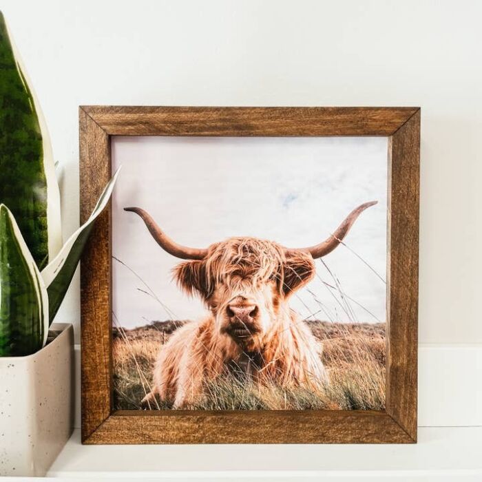 9x9 Highland Cow Framed Wooden Sign, BagMYGift