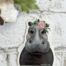 Hippo Sticker, BagMYGift