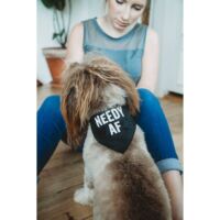 Needy Af Pet Bandana/Collar, BagMYGift
