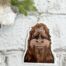 Sasquatch Sticker, BagMYGift